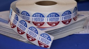 AP Photo/Lynne Sladky