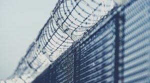 welcomia/iStock/Getty Images Plus