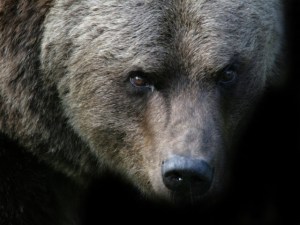 Getty Images/ valdecasas