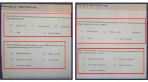 Image 4 of 9
Project Wayfinder Belonging Survey Personal Racial Information Questions (Fox News)