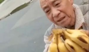 (Screencap via Twitter.)