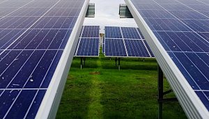 (Photo by Mariana Proença on Unsplash)