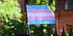 Photo by Noam Galai/Getty Images