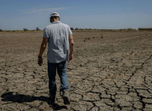 Source: San Francisco Chronicle