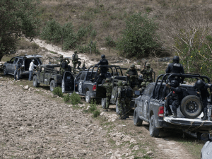 Breitbart Texas / Cartel Chronicles