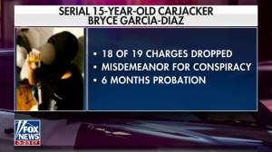 Accused carjacker 15-year-old Bryce Garcia-Diaz