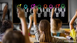Students learning gender identity content in the classroom. (iStock)