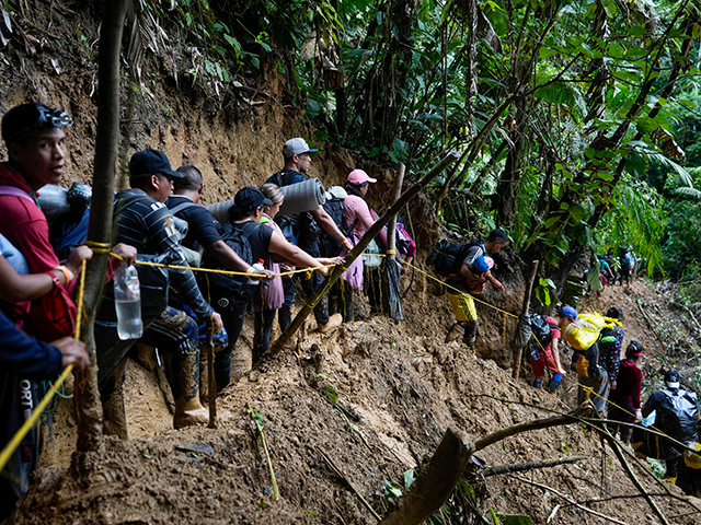 A group of migrants, mostly Venezuelans, walk across the Darien Gap from Colombia into Panama hoping to reach the U.S. on Saturday, October 15, 2022. (AP Photo/Fernando Vergara)