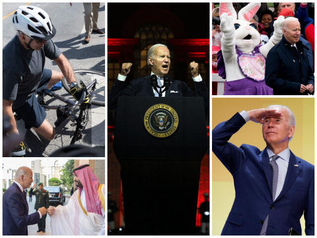 J. Watson, S. Reynolds, S. Loeb/ Getty; E. Vucci/AP