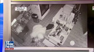 Ahipoki target of smash-and-grab robbery