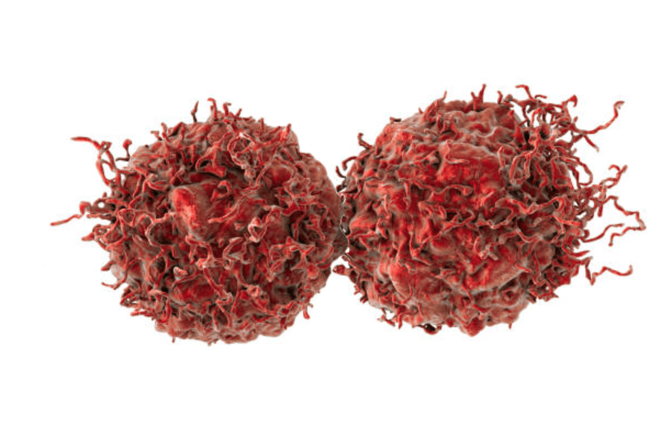 Cellular adhesion remains a fundamental component to cell-cell communicationGETTY