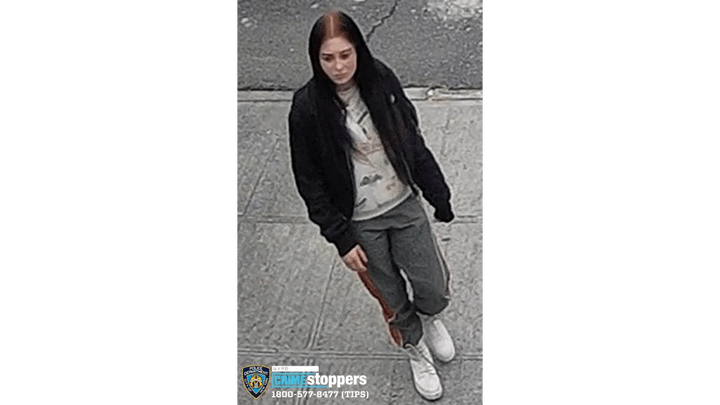 New York City police arrested a 15-year-old girl for her alleged involvement in a fire that resulted in the death of a 27-year-old man. (New York City Police Department)