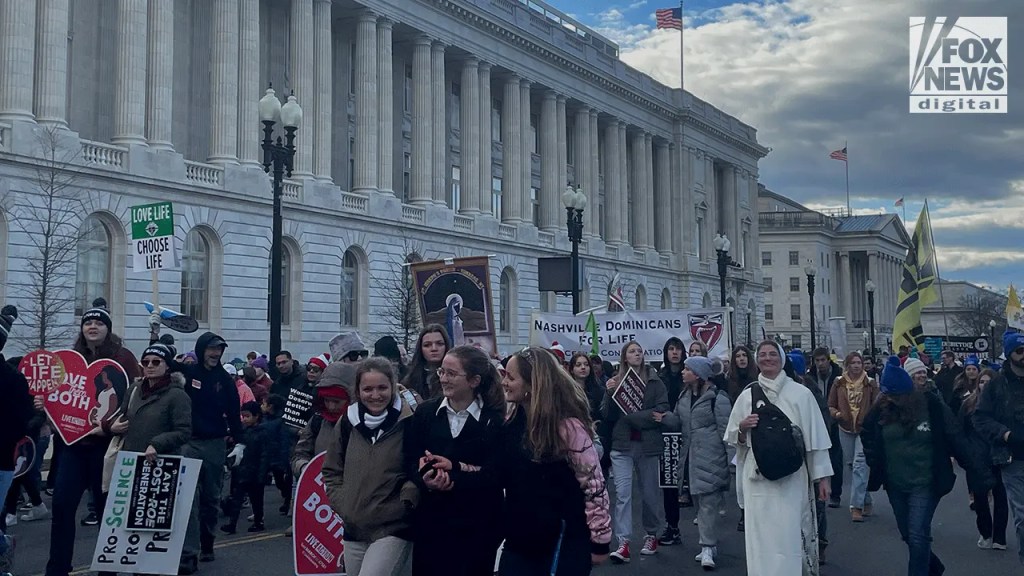 Pro-Life demonstrators walking on the National Mall during the 2023 March for Life. (Brooke Curto/Fox News Digital)