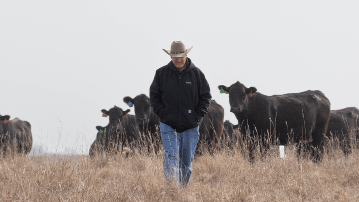 Todd Wilkinson, president-elect of the National Cattlemen’s Beef Association, predicts FMD will come into the U.S. on the bottom of someone's boot. (National Cattlemen’s Beef Association)