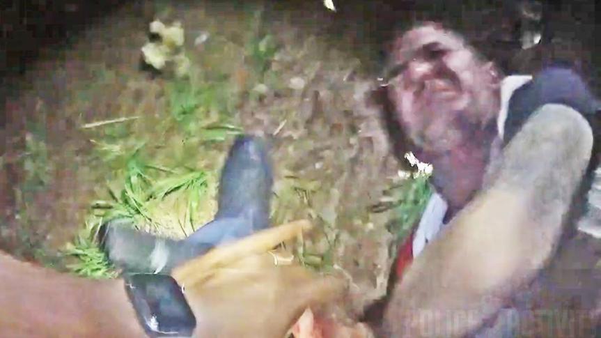 News Feed News: Daily Brief.&nbsp;7/25/2023.