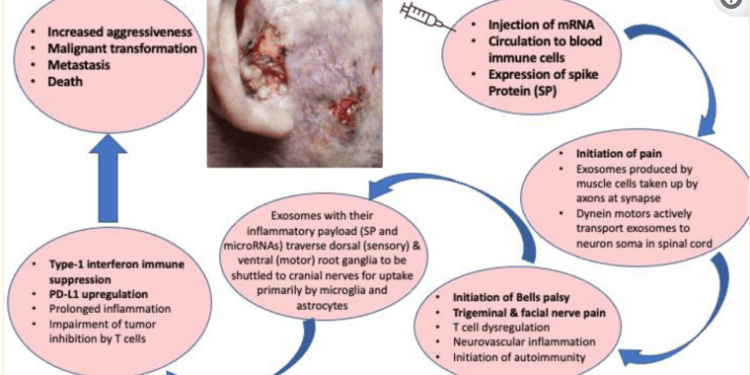 In The News Today:&nbsp;5/30/2024.