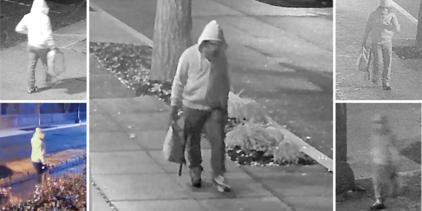 In The News Today.11/05/2025.