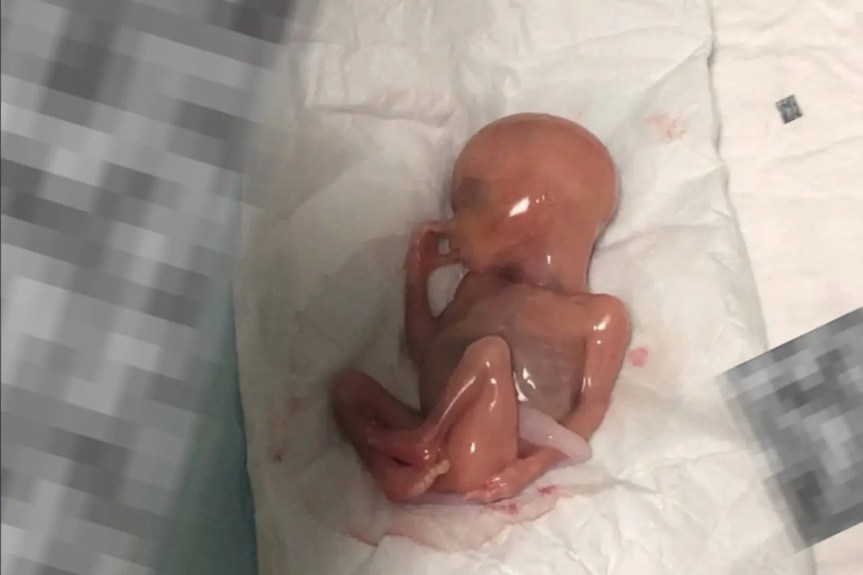 Newsfeed News.2/13/2026.